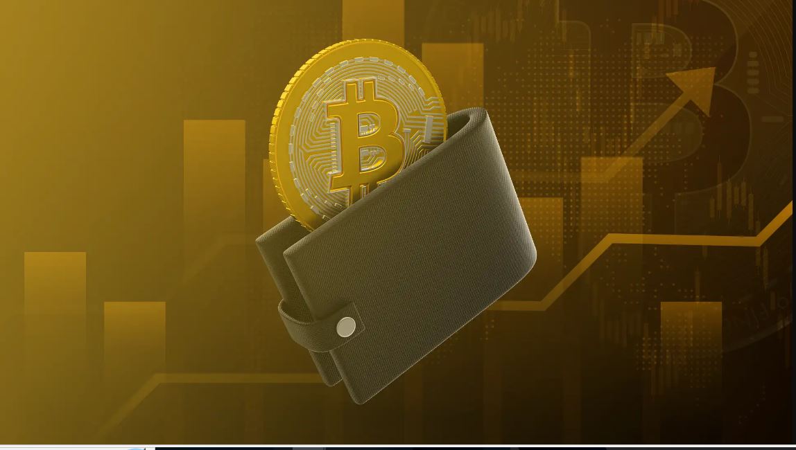 Best Bitcoin Wallets in the US: Secure Options Compared